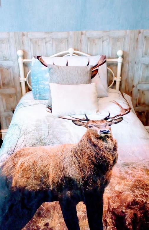 East Midlands Guesthouse Derby Zewnętrze zdjęcie